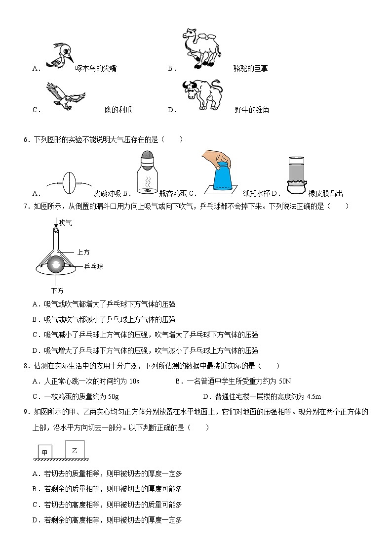 八年级物理下学期期中测试卷03（天津专用）（原卷版）第2页
