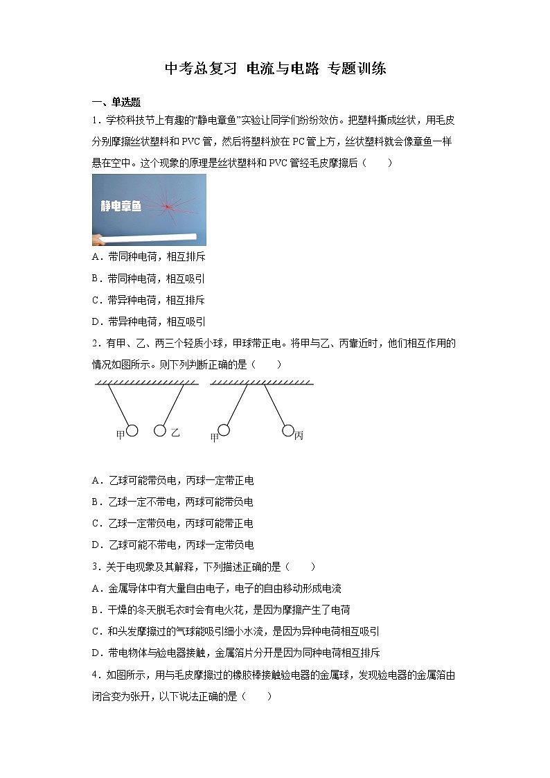 2022年中考物理(二轮专题）电流与电路专题训练第1页