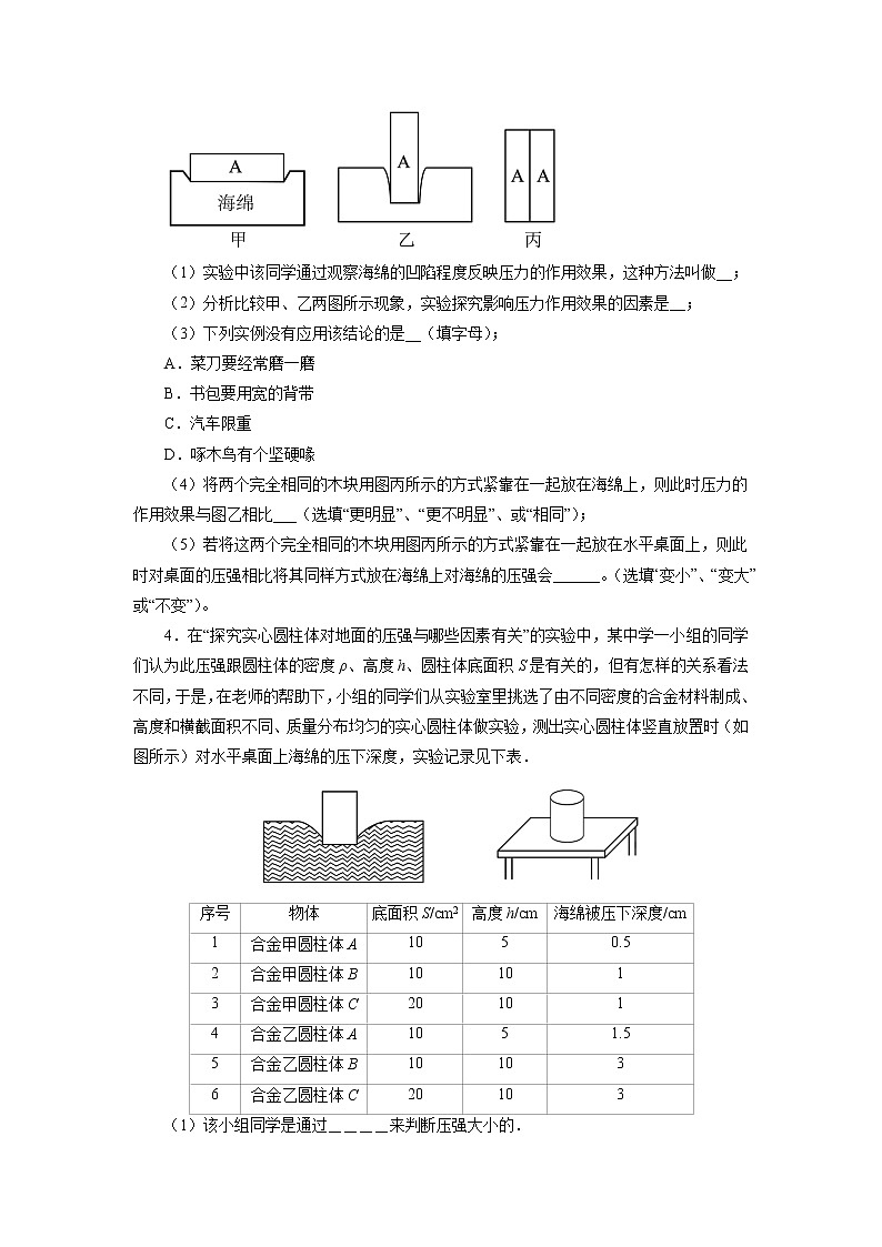 2022年中考物理复习之专题突破训练：压强实验探究第2页