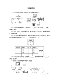 2022年中考物理二轮专题强化训练：电阻的测量