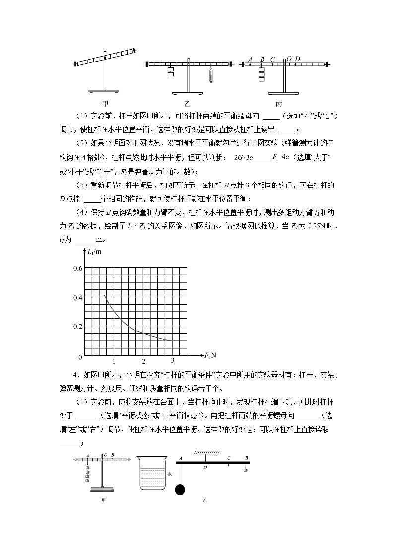 2022年中考物理二轮专题强化训练：简单机械实验探究第2页