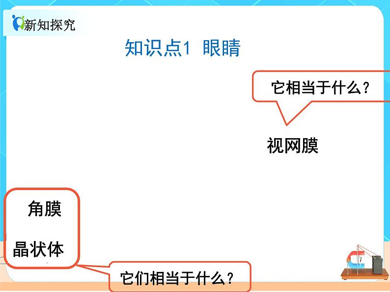 5.4眼睛和眼镜课件PPT第6页