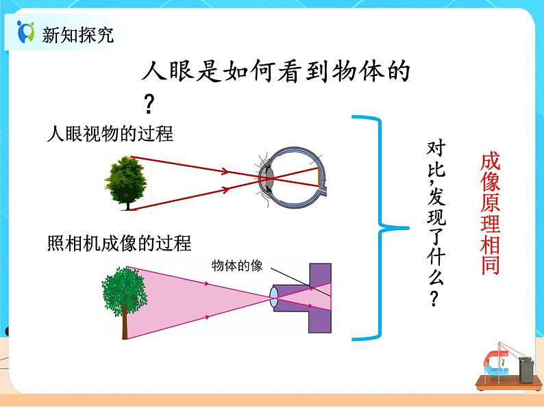 5.4眼睛和眼镜课件PPT第7页
