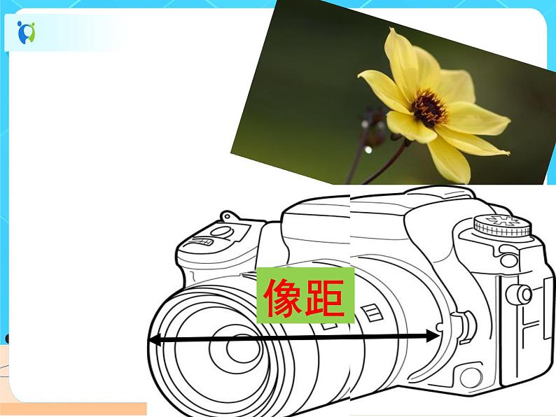 5.4眼睛和眼镜课件PPT第8页