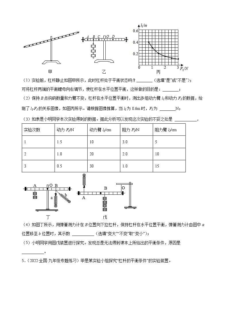 2022年中考物理二轮复习精选实验专题——简单机械实验第3页