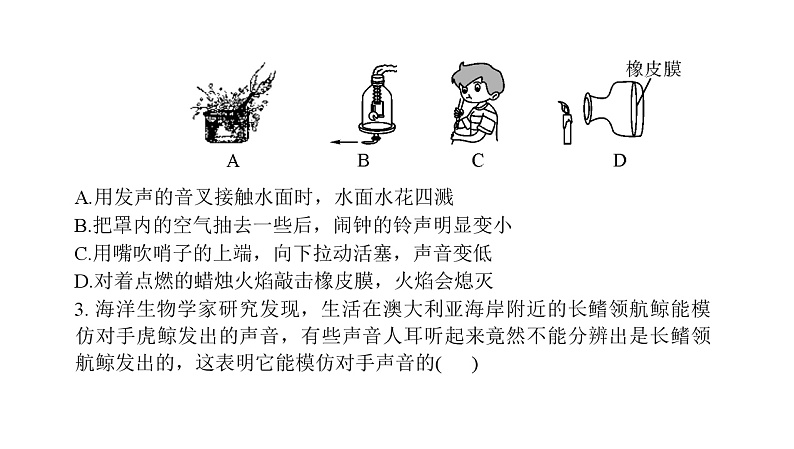 2022年中考物理复习选择题专题训练（二）第2页