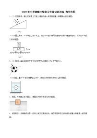 2022年中考物理二轮复习专题优化训练力学作图