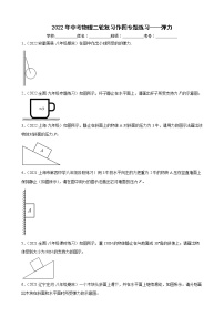 2022年中考物理二轮复习作图专题练习——弹力