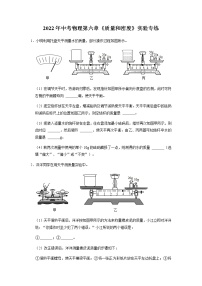 2022年中考物理二轮复习实验专题练习——质量与密度