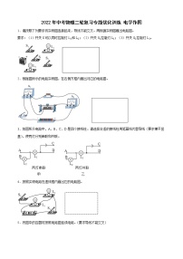 2022年中考物理二轮复习专题优化训练电学作图