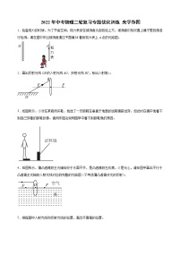 2022年中考物理二轮复习专题优化训练+光学作图