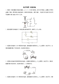 2022年中考物理二轮专题复习+电学作图