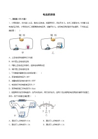 2022年中考物理知识点二轮复习专题练习——电流的测量