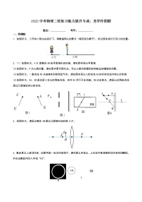 2022年中考物理二轮复习能力提升专训：光学作图题+