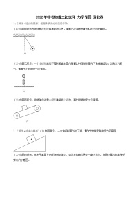 2022年中考物理二轮复习力学作图强化卷