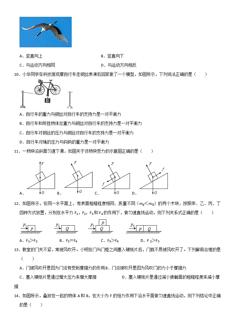 第八章  运动和力（基础过关）（原卷版）第3页
