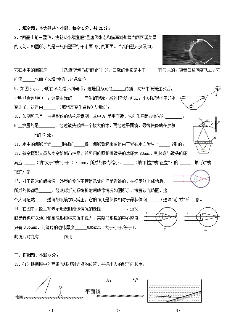 2022年广东省中考物理复习专题特训（光学）第2页
