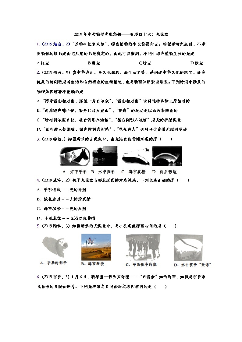 2019年中考物理真题集锦——专题四十六：光现象（word版含答案）第1页
