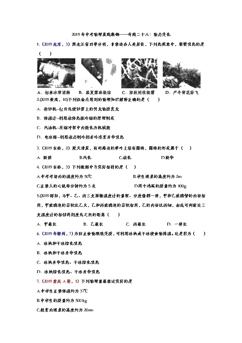 2019年中考物理真题集锦——专题二十八：物态变化（word版含答案）第1页