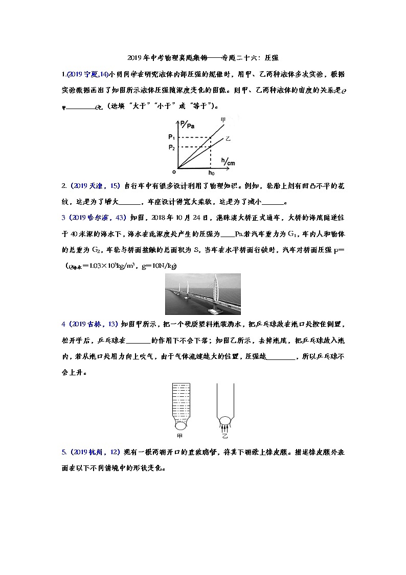 2019年中考物理真题集锦——专题二十六：压强（word版含答案）第1页