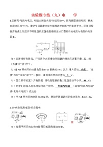 实验题09 电学-冲刺2020年中考物理易错讲评重点题型专练