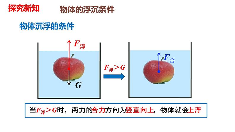 人教版八年级物理下册---10.3物体的浮沉条件及应用（课件）第4页