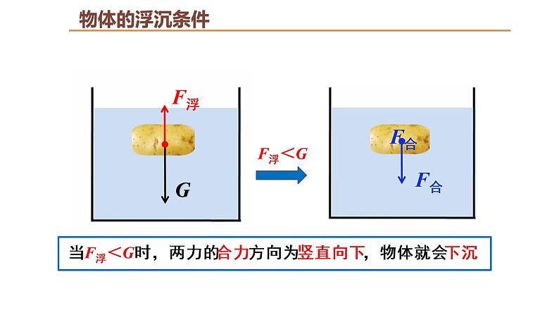 人教版八年级物理下册---10.3物体的浮沉条件及应用（课件）第5页