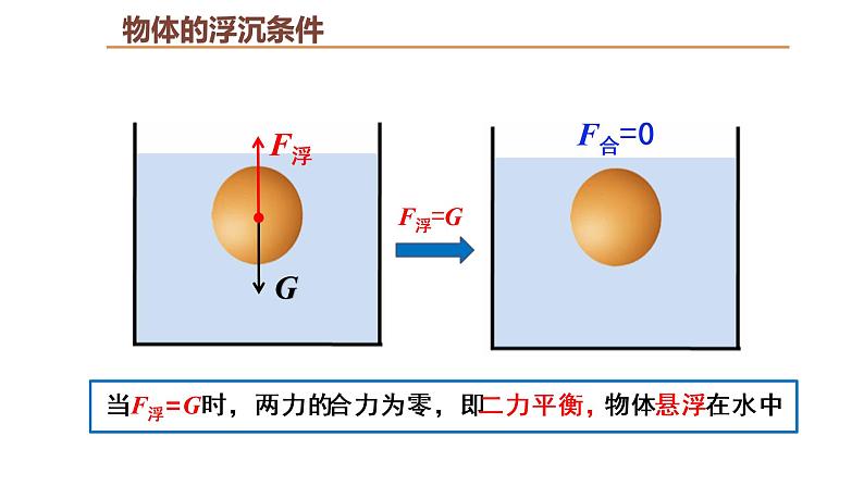 人教版八年级物理下册---10.3物体的浮沉条件及应用（课件）第6页