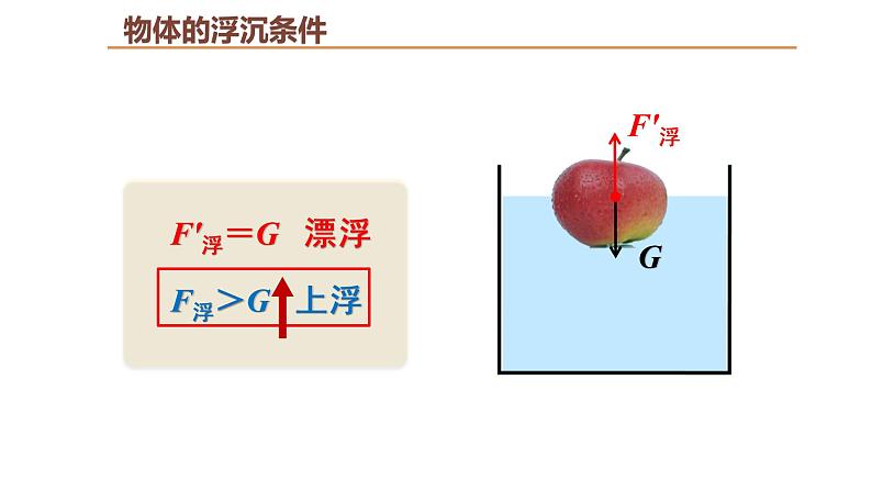 人教版八年级物理下册---10.3物体的浮沉条件及应用（课件）第7页