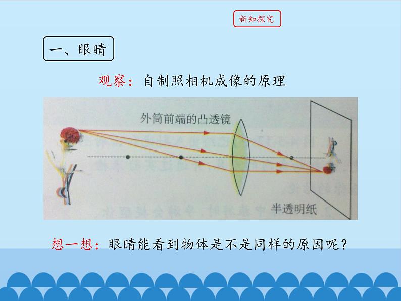 教科版八年级物理上册 4.6 神奇的眼睛_ 课件第4页