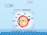 教科版八年级物理上册 4.6 神奇的眼睛_ 课件