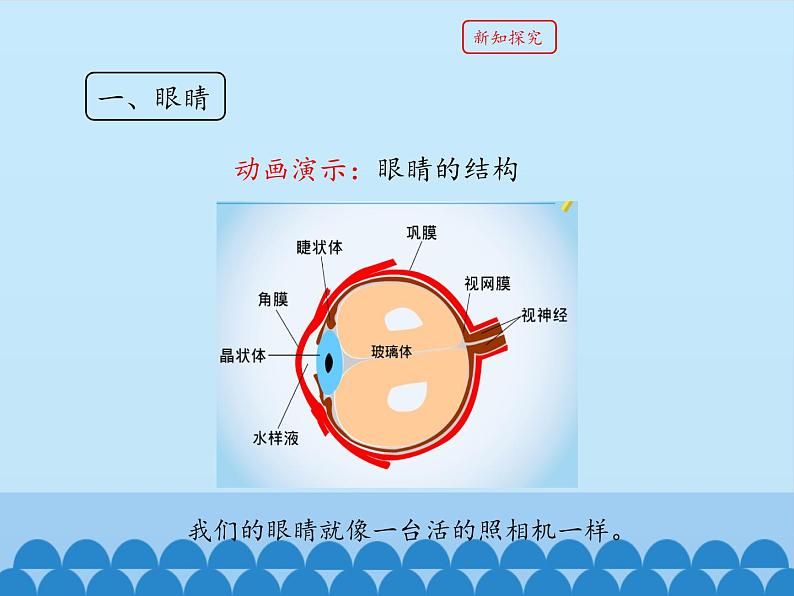 教科版八年级物理上册 4.6 神奇的眼睛_ 课件第5页