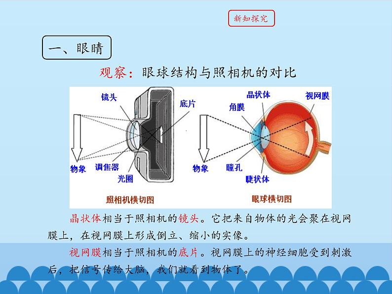 教科版八年级物理上册 4.6 神奇的眼睛_ 课件第6页