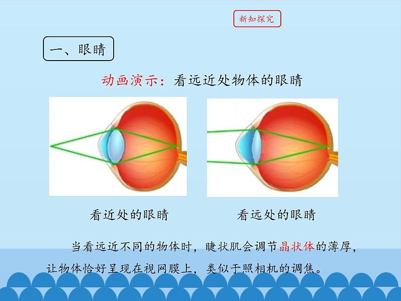 教科版八年级物理上册 4.6 神奇的眼睛_ 课件第7页