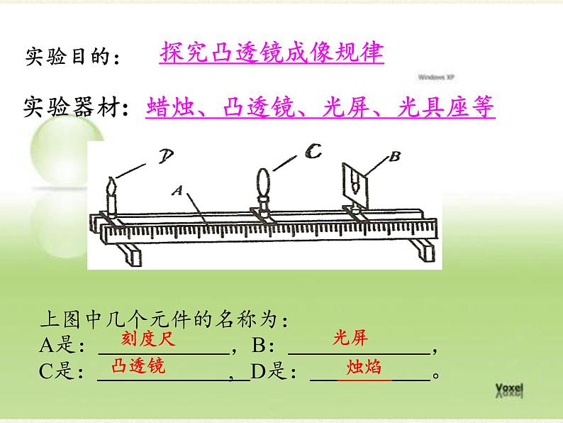 教科版八年级物理上册 4.5 科学探究：凸透镜成像(2) 课件07