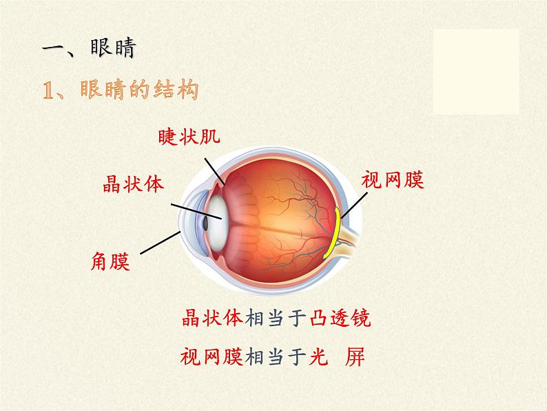 教科版八年级物理上册 4.6  神奇的眼睛 课件第3页