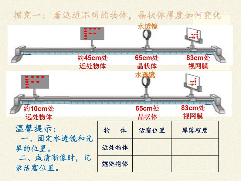 教科版八年级物理上册 4.6  神奇的眼睛 课件第7页