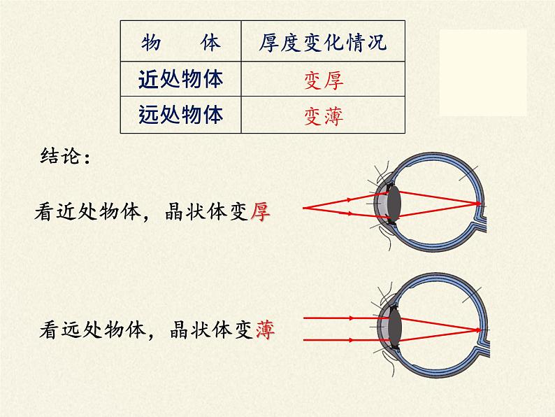 教科版八年级物理上册 4.6  神奇的眼睛 课件第8页