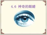 教科版八年级物理上册 4.6 神奇的眼睛 课件