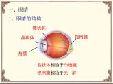教科版八年级物理上册 4.6 神奇的眼睛 课件