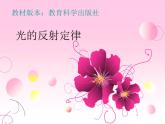 教科版八年级物理上册 4.2 光的反射定律 课件