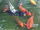 教科版八年级物理上册 4.4 光的折射课件 课件