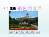 教科版八年级物理上册 4.8 走进彩色世界 课件