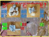 教科版八年级物理上册 6.3  测量密度 课件