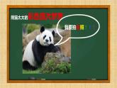 教科版八年级物理上册 4.8 走进彩色世界 课件