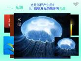 教科版八年级物理上册 光的直线传播 课件