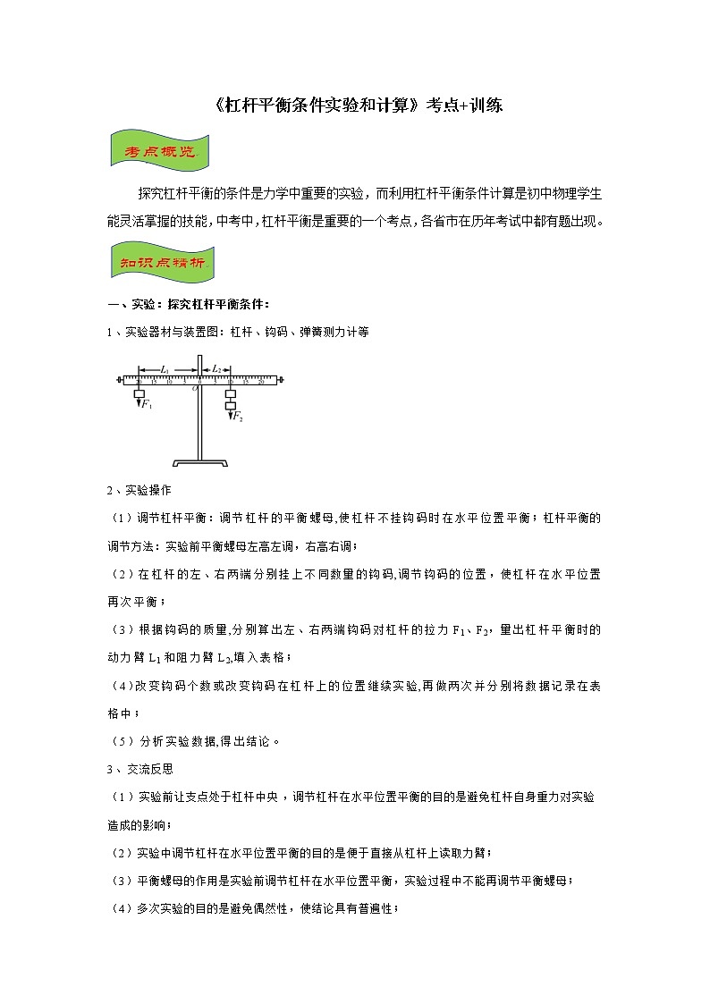 2021-2022学年初中物理中考专项：杠杆平衡条件实验和计算（考点概览+知识精析+常考题型+跟踪训练+答案解析）第1页