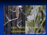 5.4 地球上的水循环 课件PPT