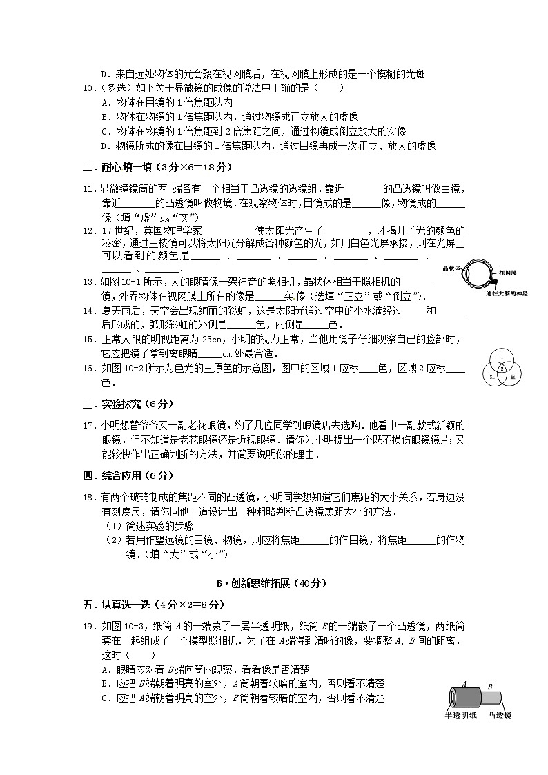 4.8 走进彩色世界练习题02
