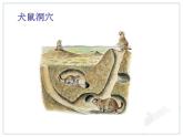 初中物理人教版八年级下册 第4节流体压强与流速的关系 课件